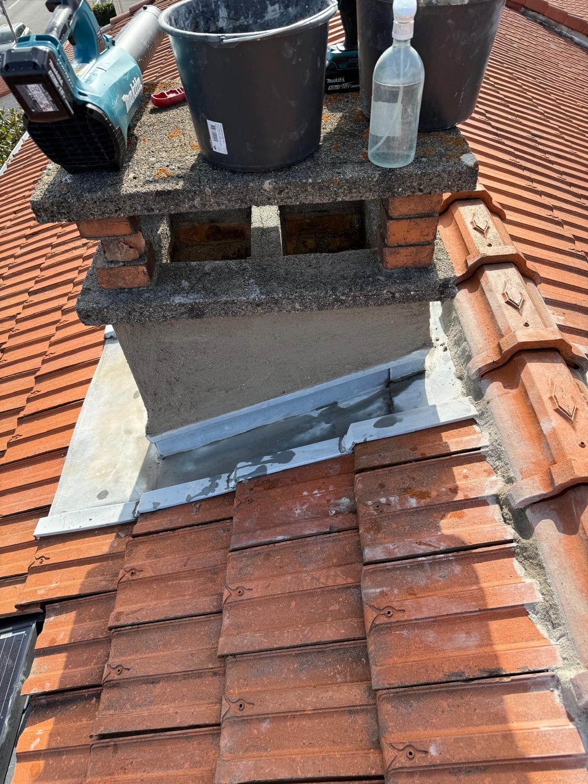 Démoussage toiture professionnel Ariège